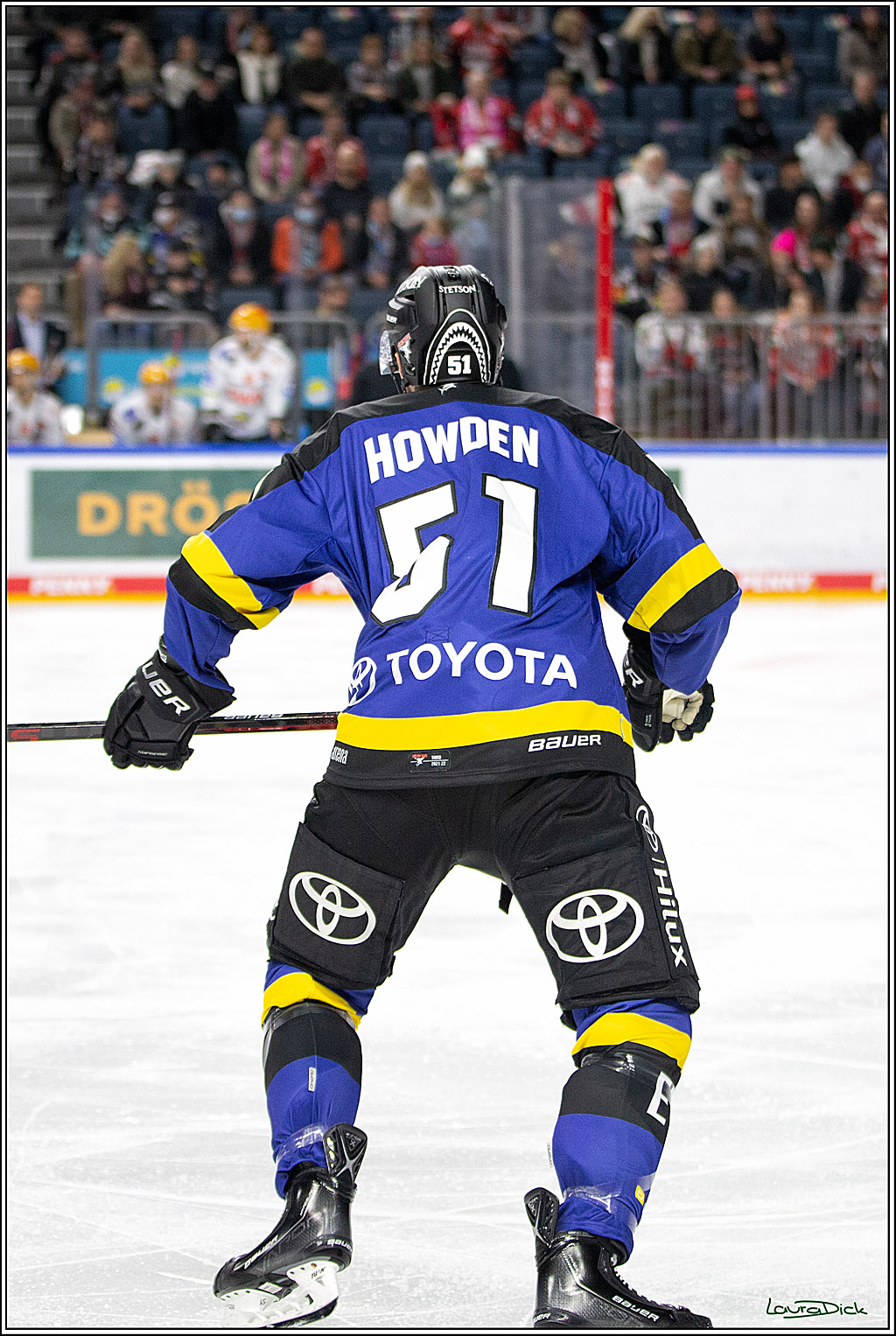 PENNY DEL; Koelner Haie- Fishtown Pinguins Bremerhaven; Koeln, 23.11.2021